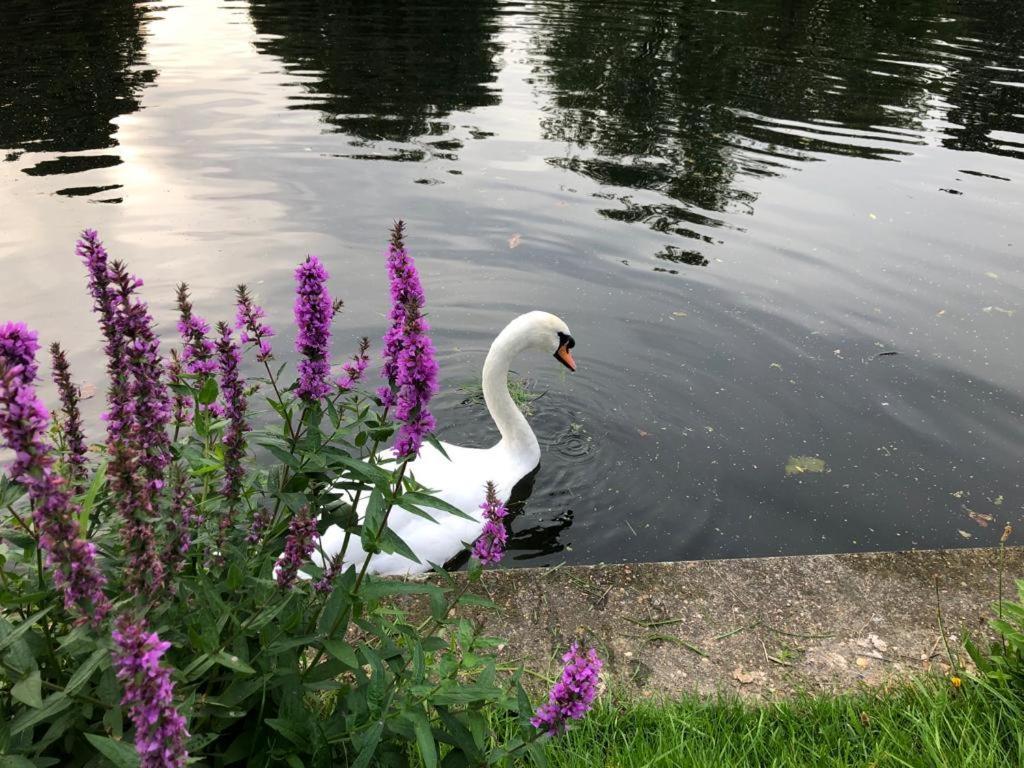 Staines-upon-Thames Cozy Double Bedroom In Stunning Bungalow On River Thames - Near Thorpe Park/Royal Holloway University/20Mins From Heathrow מראה חיצוני תמונה